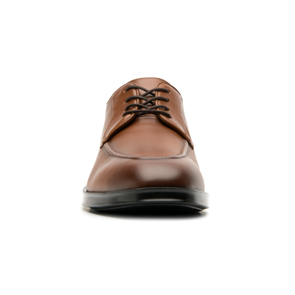 Derby Con Floreta Quirelli para Hombre con 100% Piel Estilo 705601 Tan