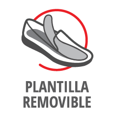 Plantilla Removible